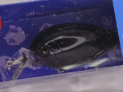 Gun grape (#40)