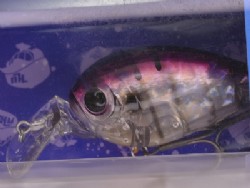 Gill (#06)