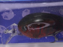 SP crawdad (#17)
