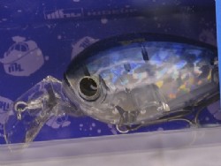 Tamaranbai blue (#41)