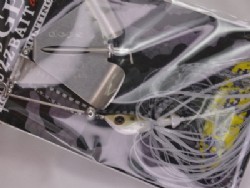 Archer fish (#05)