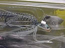 Grass shad (#HC01)