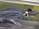 Live blue gill (#HC20)