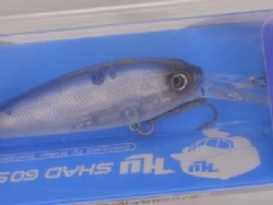 Tamaranbai shad (#41)