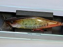 Hasu (Red hook model)