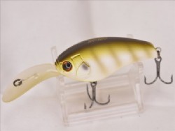Gill female