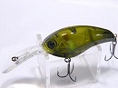 Olive ayu