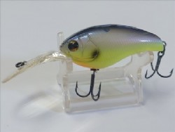 Bream
