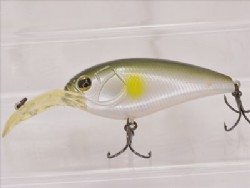 Imakatsu ayu