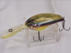 Goldem wakasagi
