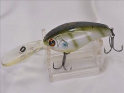 Live gill
