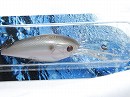 Silver shiner (#117)