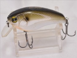 Akansas shiner