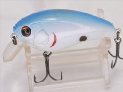 Blue back shiner