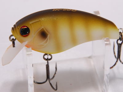 Gill female