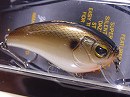 Arkansas shiner