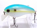 Erotica shad (Sexy shad)