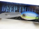 American blue shad (#261)