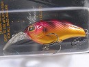 Red gill (#116)