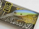 American blue shad (#261)