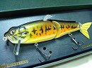 Teasing bass gold