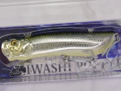 Mackerel