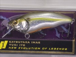 DD sexy shad