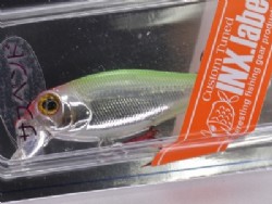 Iki sp chigyo
