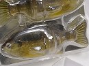 3DR Biwako male gill (#S-425)