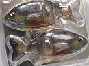 3DR Biwako male gill (#S-424)