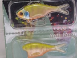 Chart back gill 