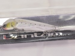 White shad