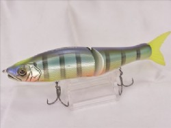 Chart head blue gill