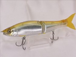 Native shad