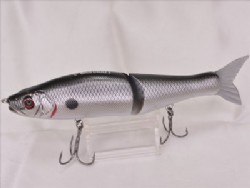 Tennessee shad