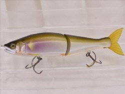 Hazuki ayu (Kiwami limited color)