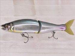 Biwako hasu (Custom color)