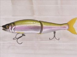Rainbow trout