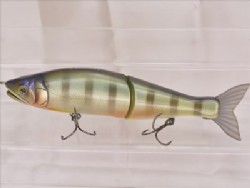 Ts Blue gill (Custom color)