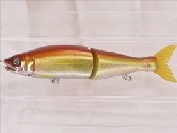 Akakin (AIMS limited color)