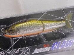 Gold shiner (#18)