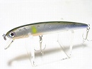 Silver ayu