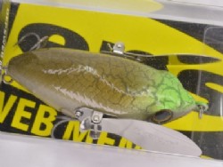2020 Deps member limited model