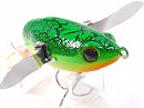 Fire belly toad (2006 Member limited color)