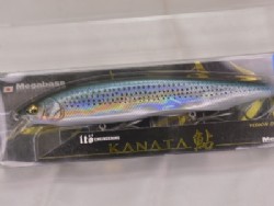 GG kohada