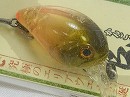 Stlip orange