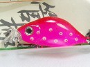 Pink trout