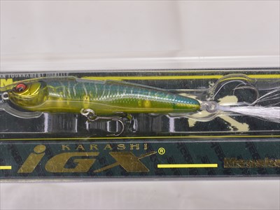 KARASHI IGX 70S [Brand New] – JAPAN FISHING TACKLE