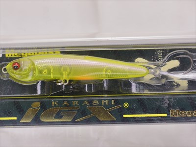 karashiigx70f_itokinari.jpg