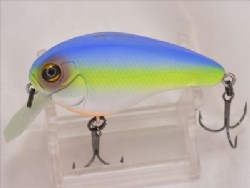 American blue shad